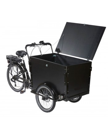 KidsCab Cargo Trike cargo...