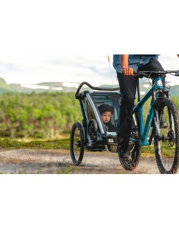 krijgen Machtig dun Thule Chariot Cross 2 fietskar - Alaska